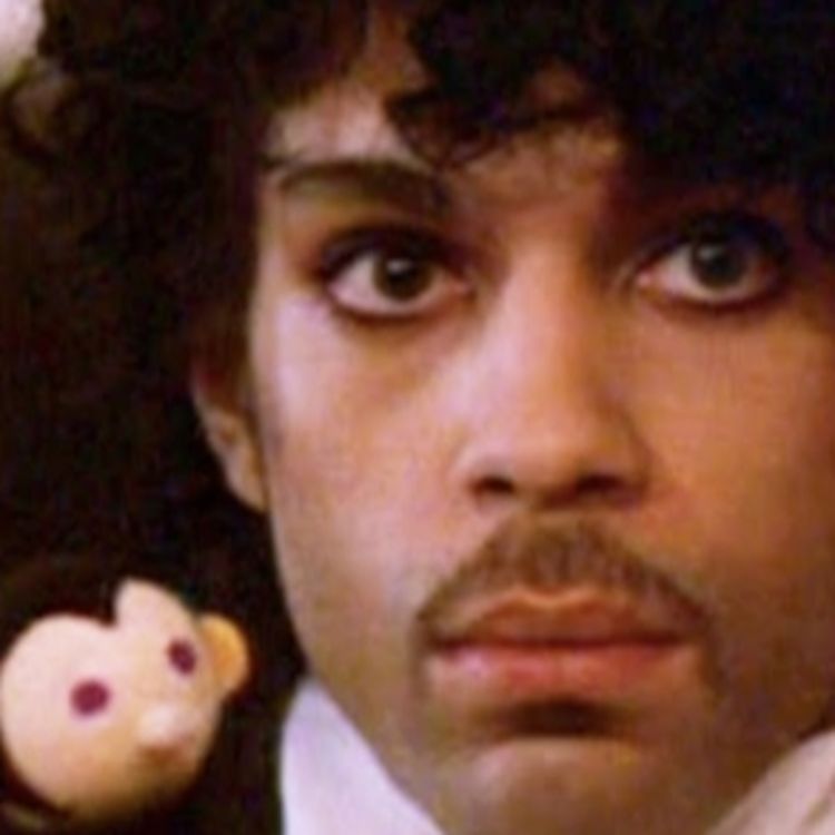 cover art for Episode 12: Episode 12 -Spice Movies