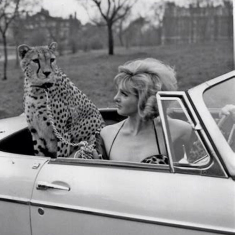 cover art for Episode 11: Episode 11 - Life in the Middle Lane - Redux