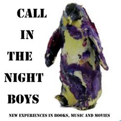 cover art for Call in the Night Boys