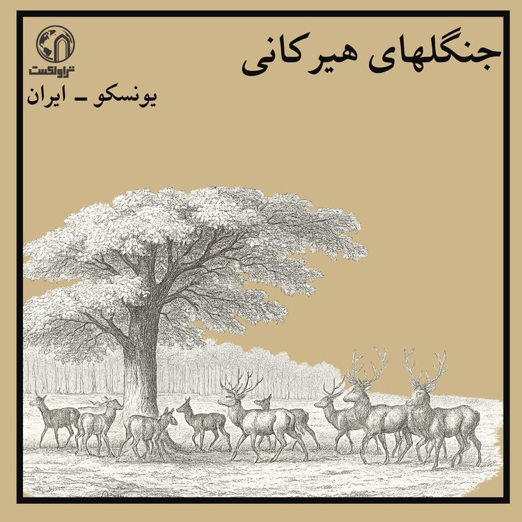 cover art for جنگل‌های هیرکانی ؛ فسیل زندهٔ زمین