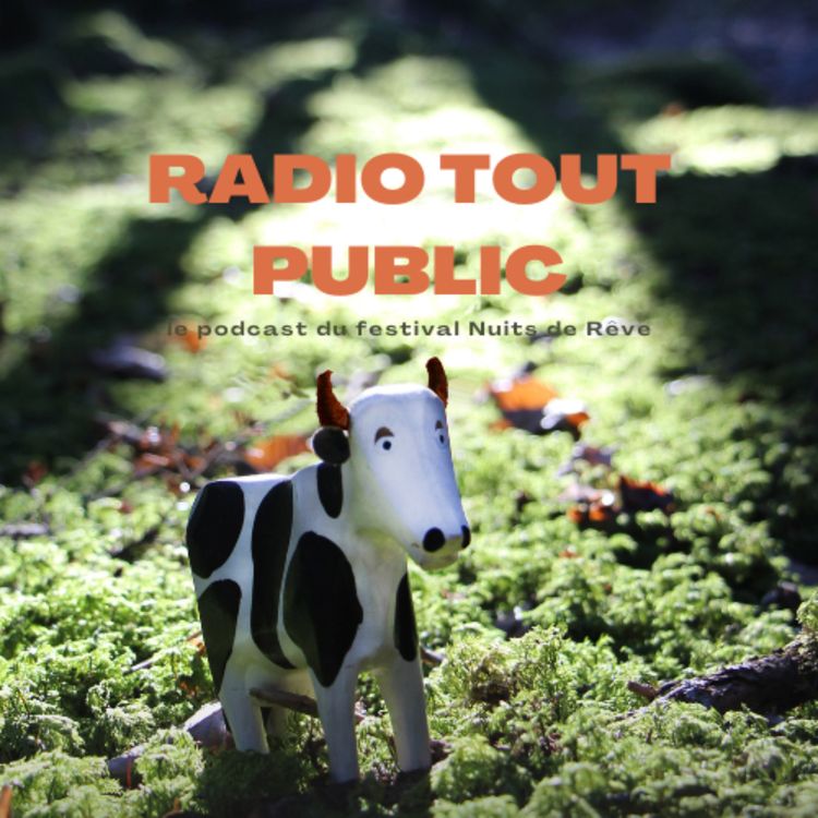 cover art for Le retour de Radio Tout Public, la radio du festival Nuits de Rêve : saison 2!