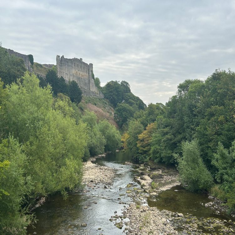 cover art for C2C Day 7