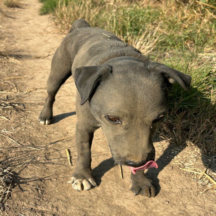 cover art for C2C Day 8