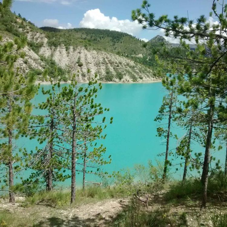 cover art for test transcript