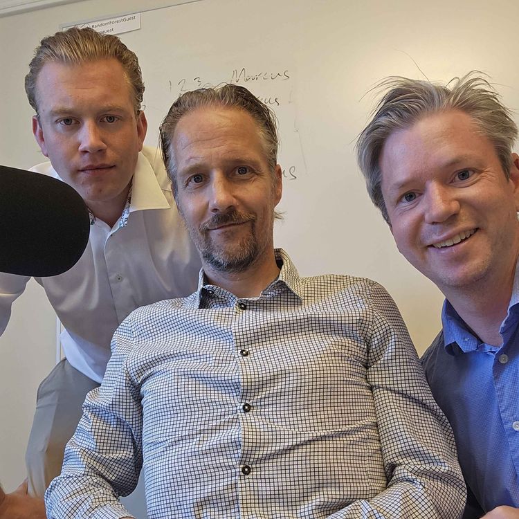 cover art for Avsnitt 116 - Vem uppfann SQL?