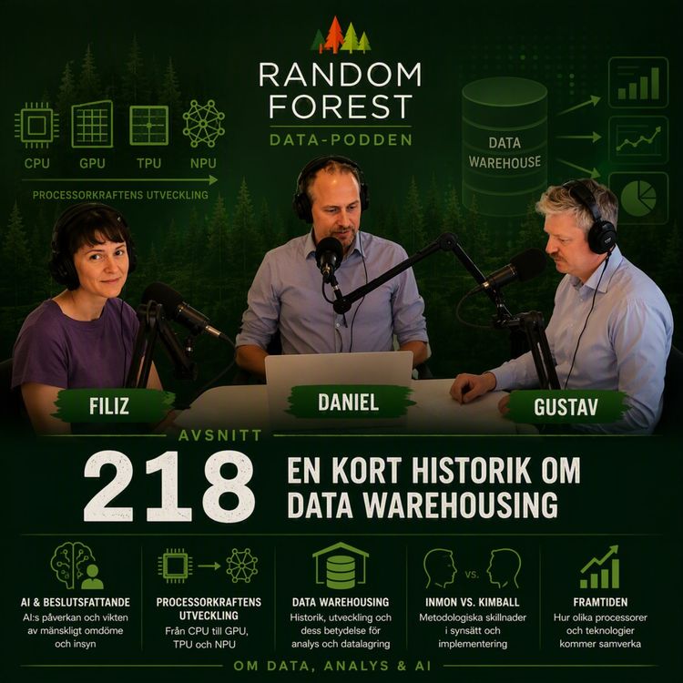 cover art for Avsnitt 218 - En kort historik om Data Warehousing