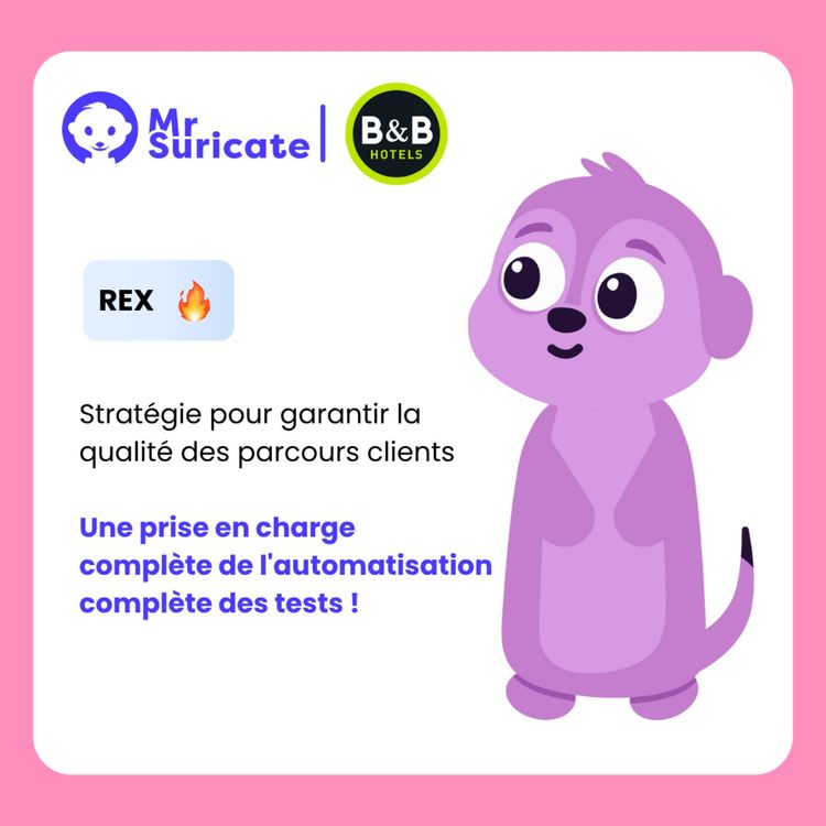 cover art for B&B HOTELS GROUP - Stratégie pour garantir la qualité des parcours clients avec Mr Suricate