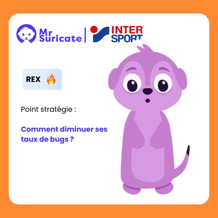 cover art for Diminuer le taux de bugs de 30% avec INTERSPORT