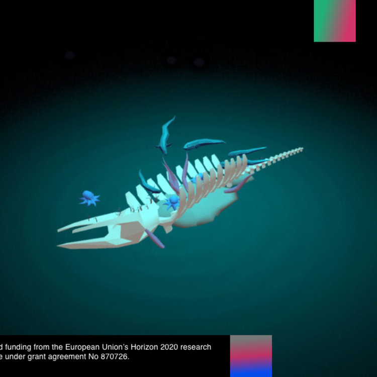 cover art for Meditation for a Falling Whale (and other social animals)