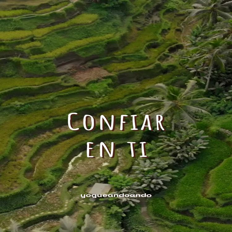cover art for Confiar en ti