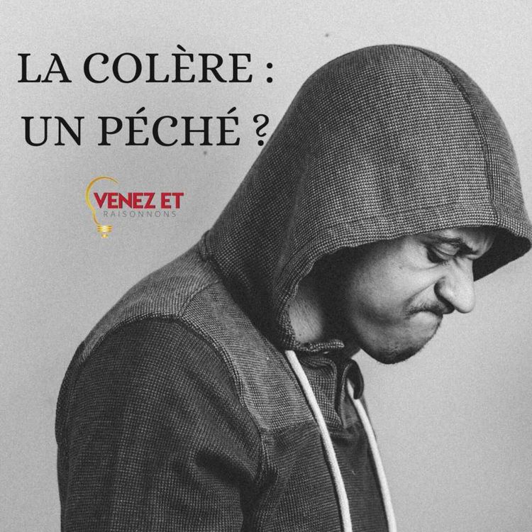 cover art for La colère  : un péché ?