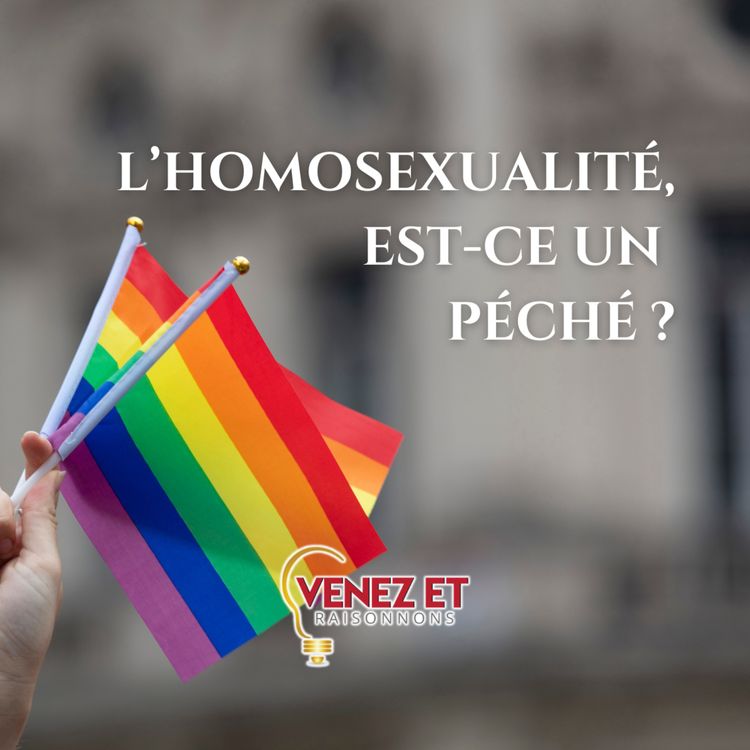 cover art for L'homosexualité, un péché ?