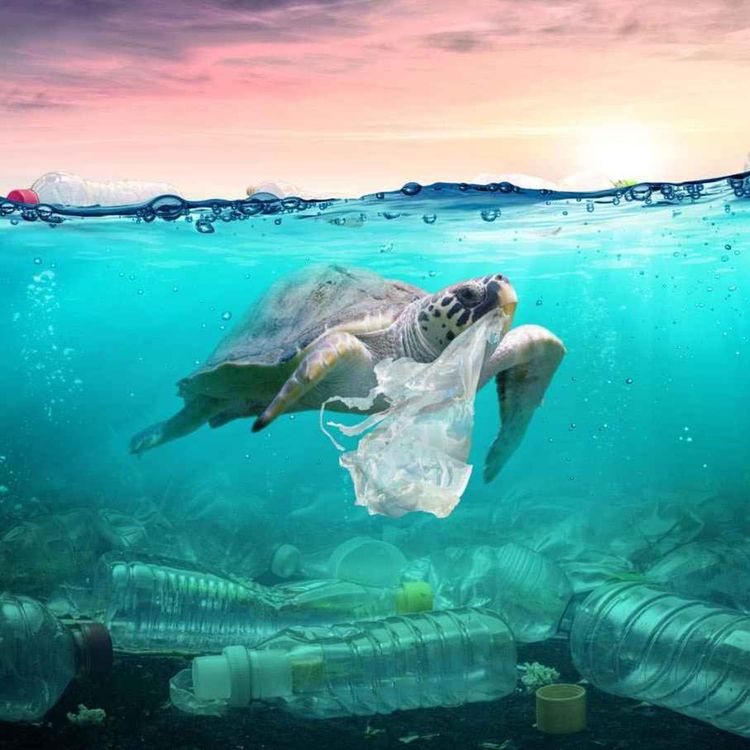 cover art for 92 - La pollution marine