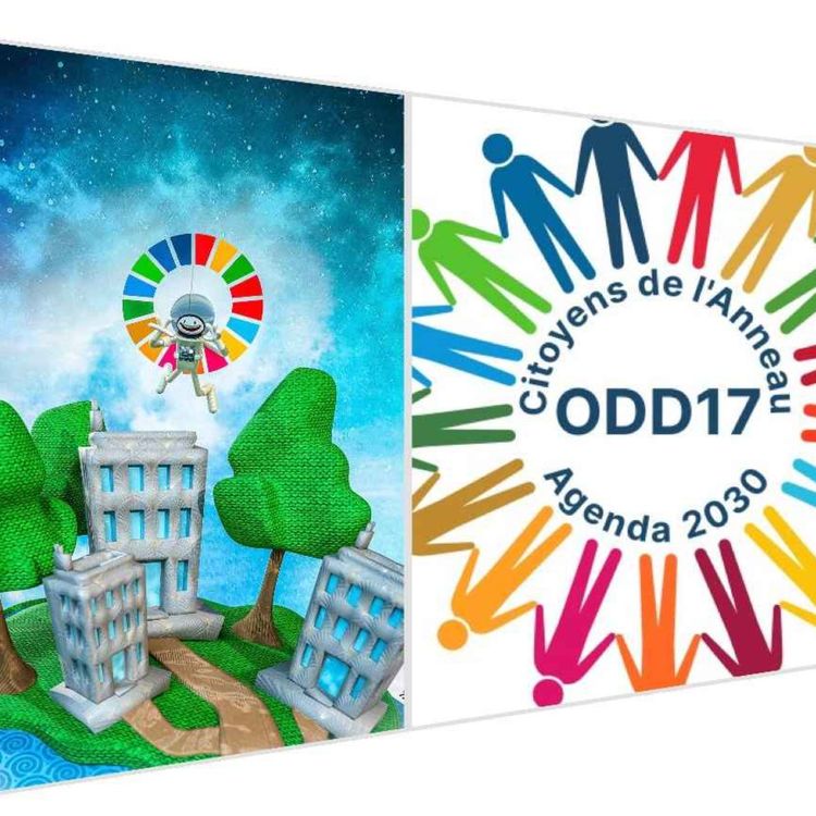 cover art for 202 -  Partenariat international pour le développement durable des villes et des territoires