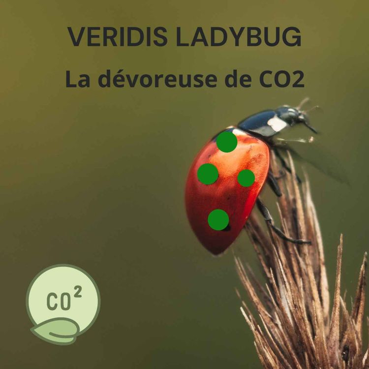 cover art for 249 -  VéridisLadyBug, la dévoreuse de C02