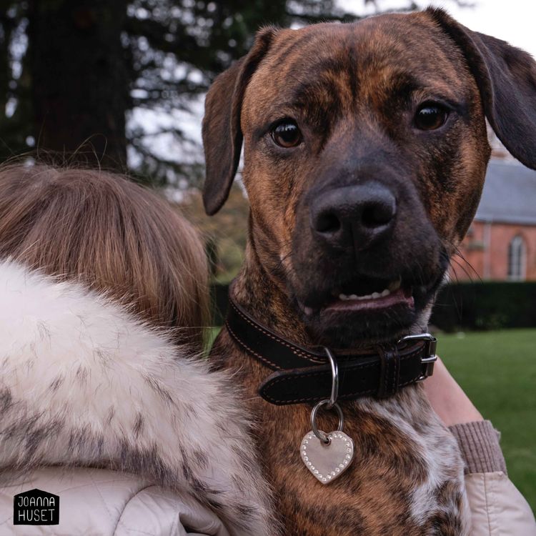 cover art for S2E5 - Philina 4:4 - Min bedste ven fortjente et bedre liv