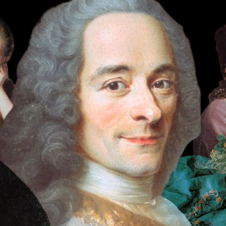 cover art for LE ROMAN D'UNE VIE - VOLTAIRE