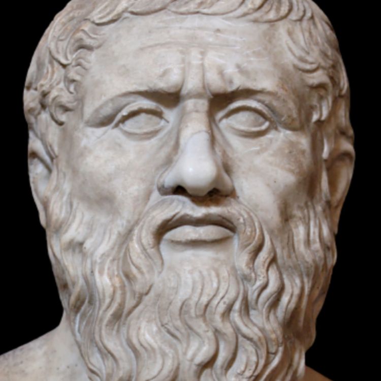 cover art for LE ROMAN D'UNE VIE - PLATON