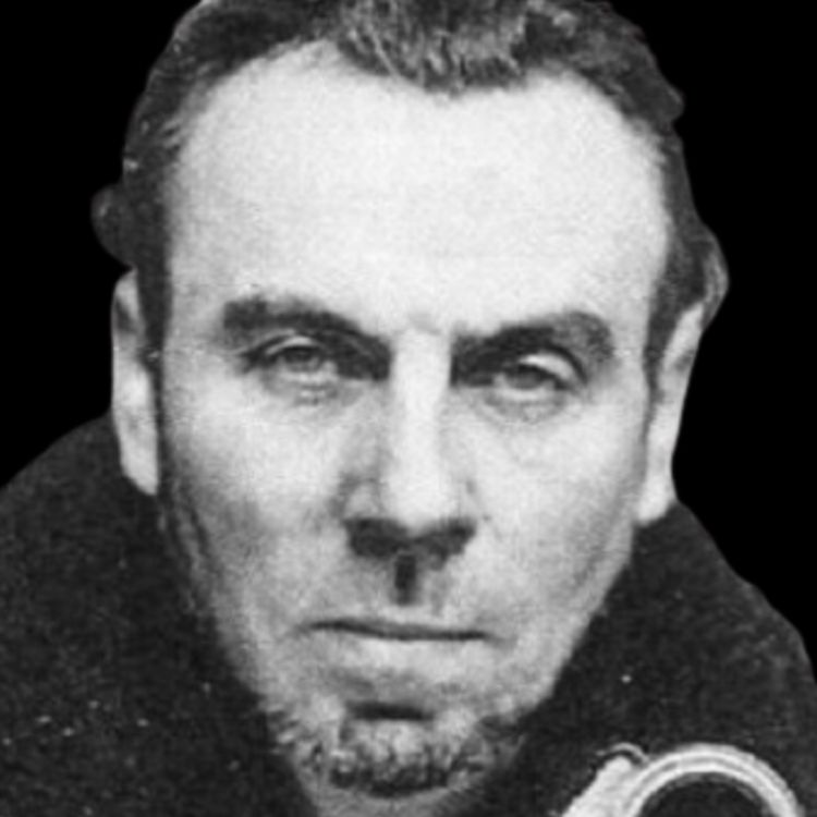 cover art for LE ROMAN D'UNE VIE - CÉLINE