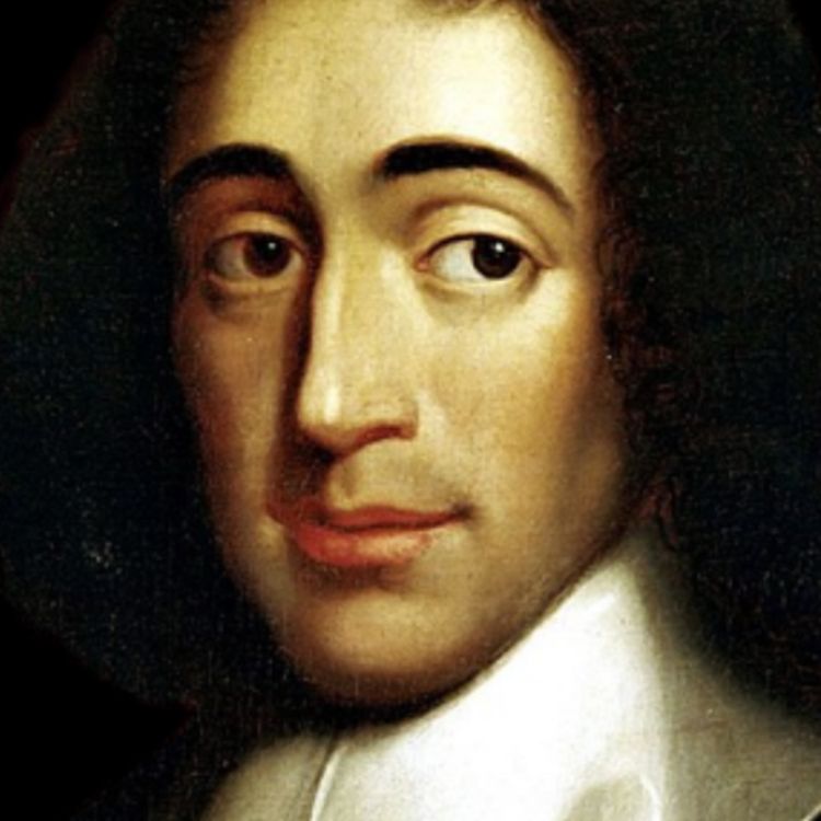 cover art for LE ROMAN D'UNE VIE - SPINOZA