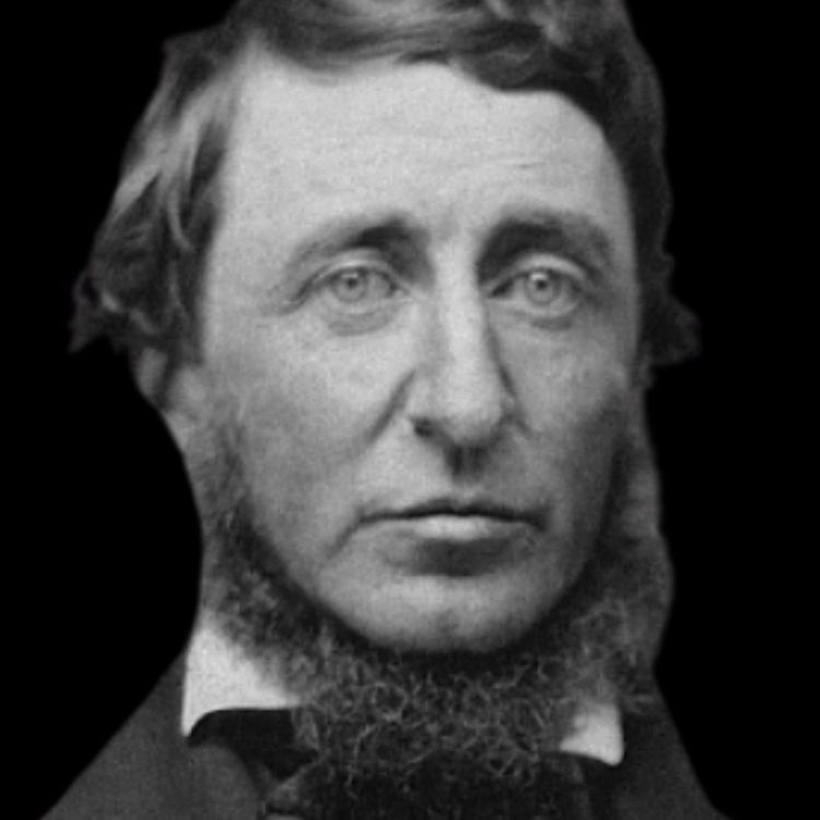 cover art for THOREAU - WALDEN