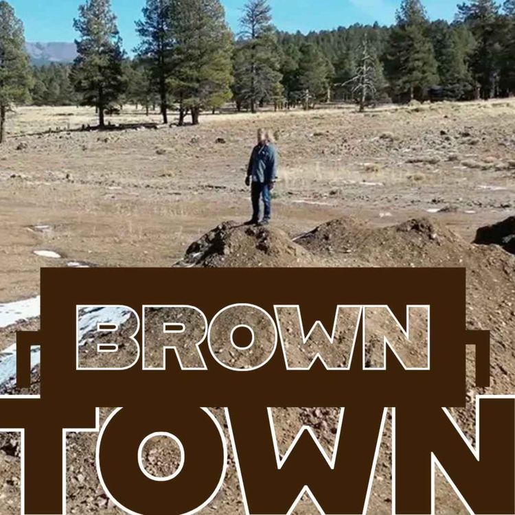 cover art for BROWN TOWN 6/14/24 (and the Amber Portwood of it all)