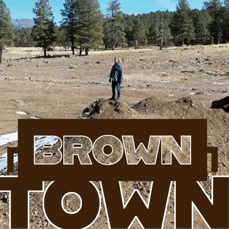 cover art for Brown Town 7/17/24 Update on the Tonya audio, update on Reggie , Nathan Griffith back in court,  Christine's travel day, Meri  ROCKS OUT, and Jenelle found an old cup! 