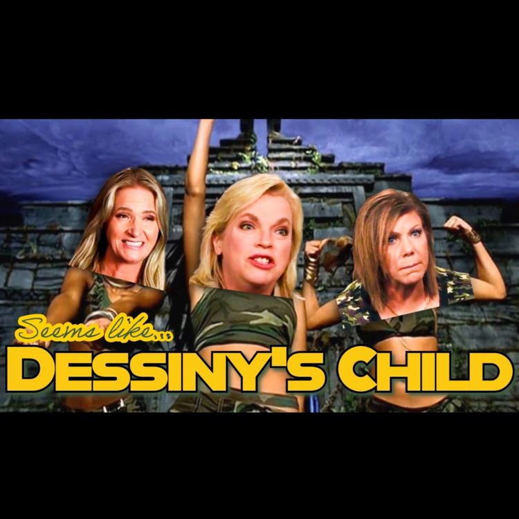 cover art for What If Kody NEVER Had a Favorite Wife?! Plus, Janelle's Birks & Christine's Shirts