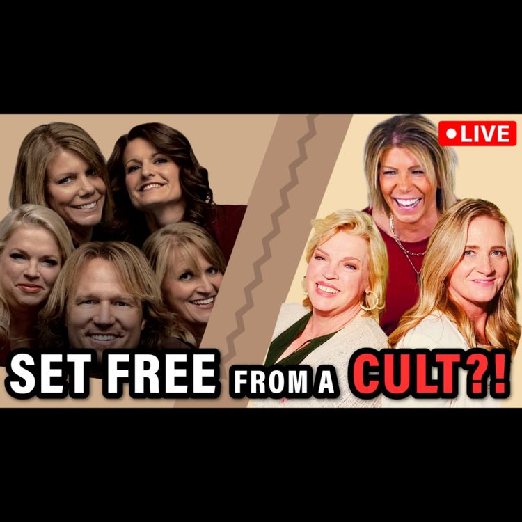 cover art for Did Sister Wives Accidentally Document a Family Leaving a Cult?