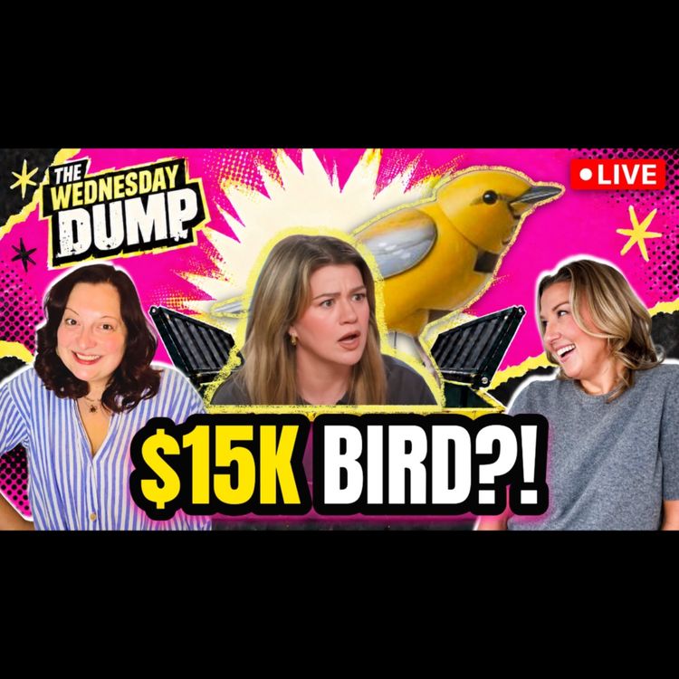 cover art for Kelly Clarkson’s $15K Bird Feud, Selma Blair Arrested + Sister Wives | Wednesday Dump