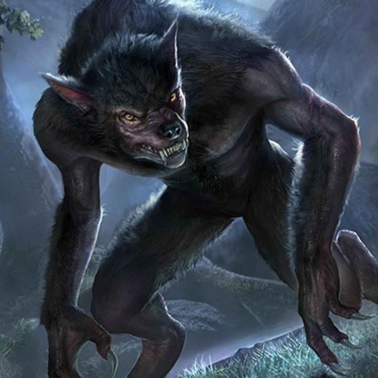 cover art for 19 UNEXPLAINED SCARY CRYPTID ENCOUNTER HORROR STORIES