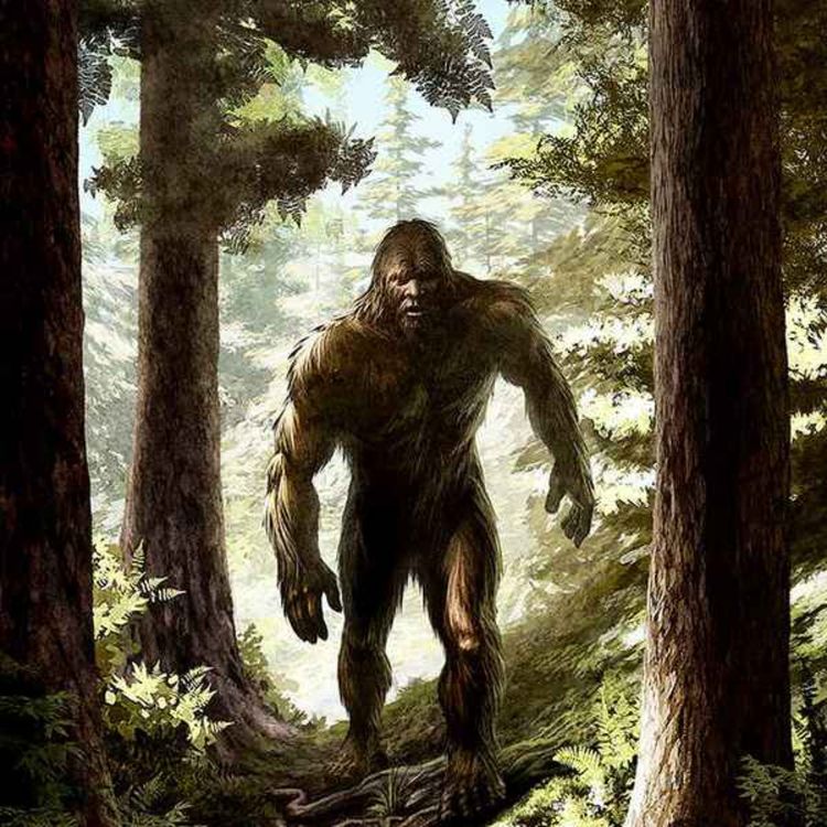 cover art for 36 SCARY CAMPING AND DEEP WOODS HORROR STORIES