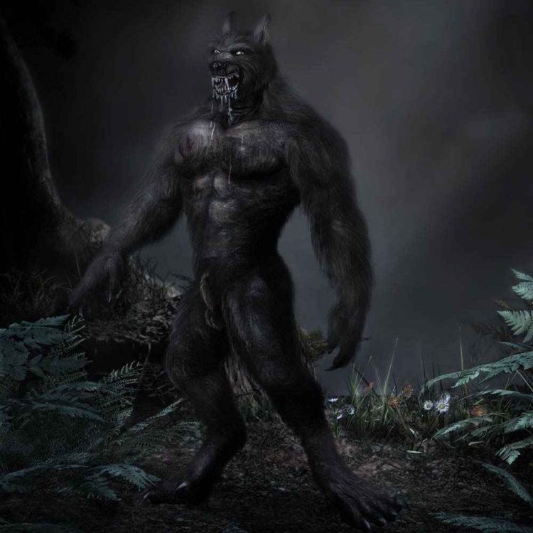 cover art for 9 UNEXPLAINED CRYPTID ENCOUNTER HORROR STORIES