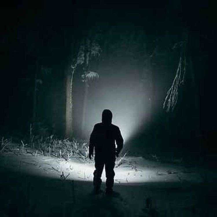 cover art for 28 UNTOLD SCARY CAMPING HORROR STORIES