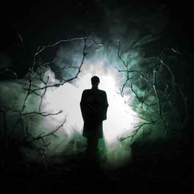 cover art for 22 UNEXPLAINED CRYPTID ENCOUNTER HORROR STORIES