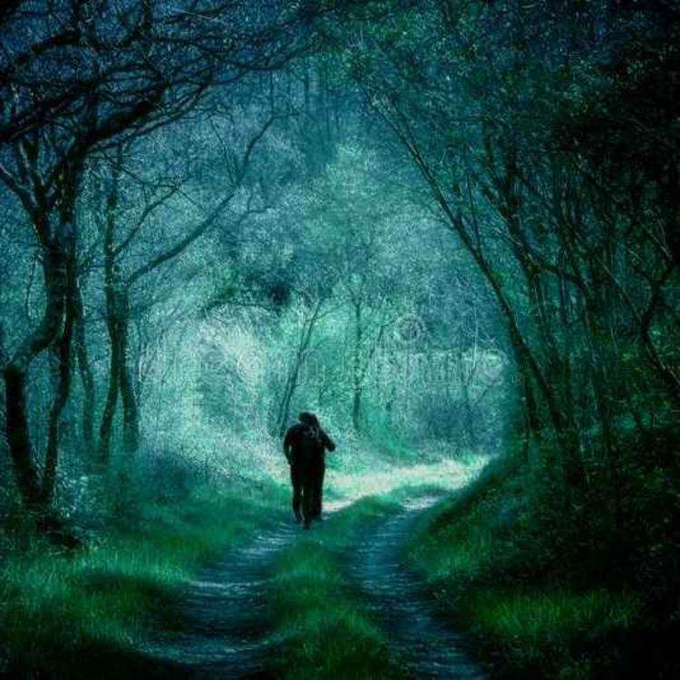 cover art for 25 UNTOLD DEEP WILDERNESS AND CAMPING HORROR STORIES