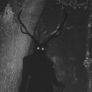 30 SCARY CAMPING IN WOODS HORROR STORIES - Horror Den Of Misfits Acast