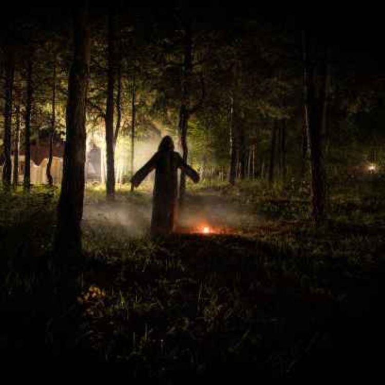 cover art for 14 UNTOLD CRYPTID ENCOUNTER HORROR STORIES