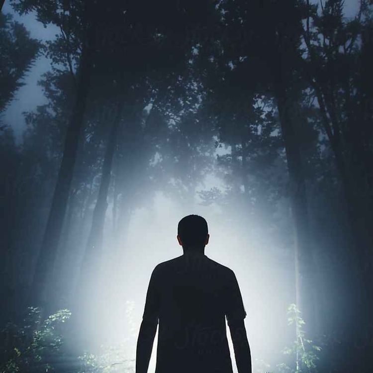 cover art for 26 SCARY SKINWALKER AND WENDIGO ENCOUNTER HORROR STORIES