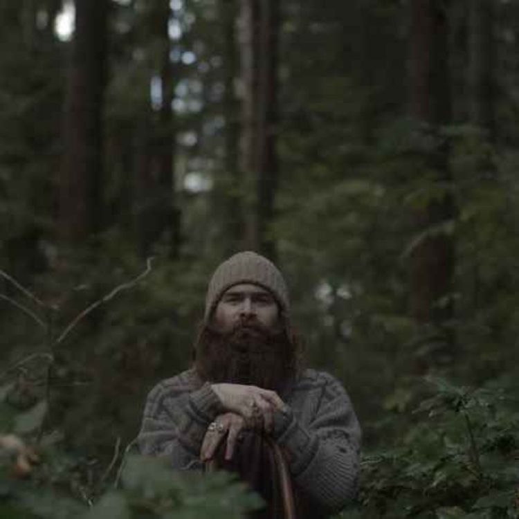 cover art for 28 SCARY CAMPING IN DEEP WOODS HORROR STORIES