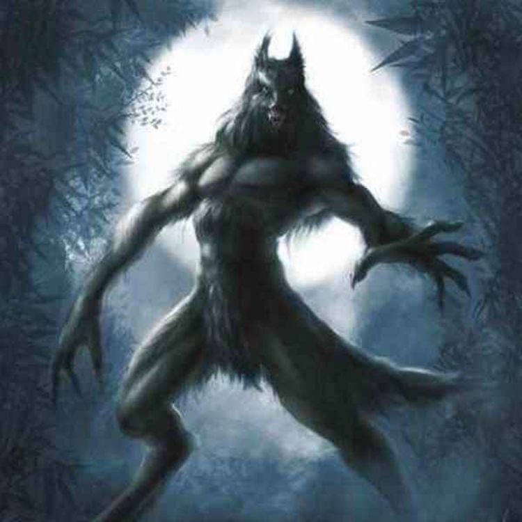 cover art for 11 SCARY DOGMAN ENCOUNTER HORROR STORIES