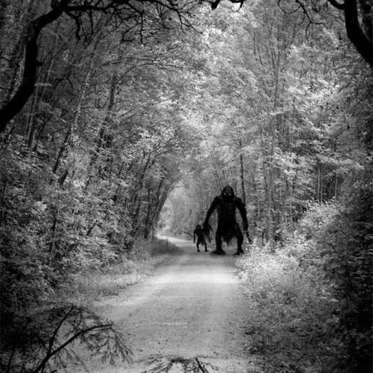 cover art for 44 SCARY CAMPING HORROR STORIES