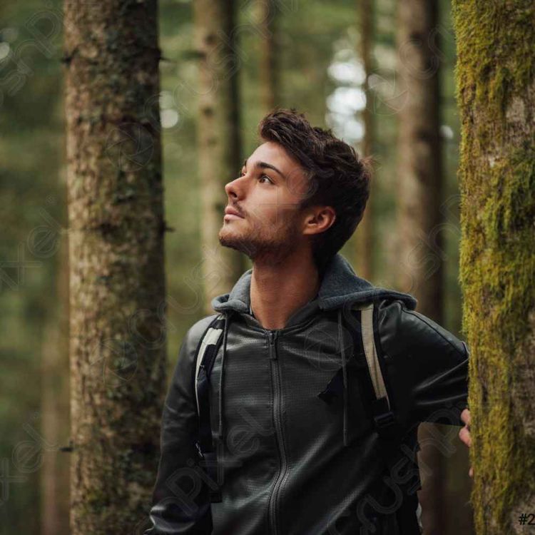 cover art for 31 SCARY DEEP WOODS HORROR STORIES