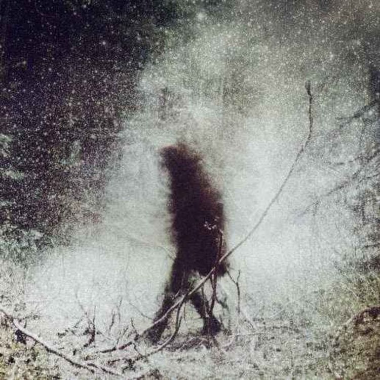 cover art for 37 SCARY NATIONAL PARK HORROR STORIES