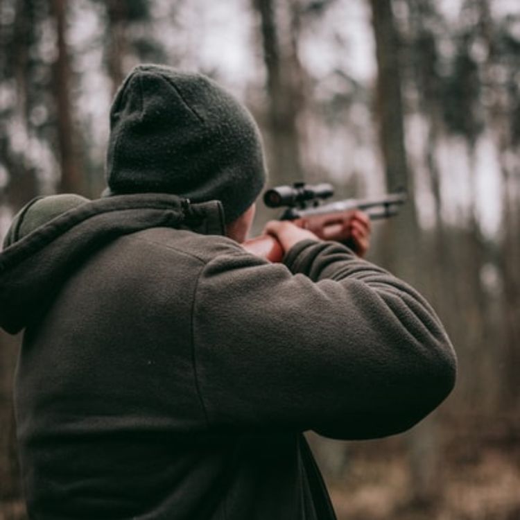 cover art for 34 SCARY HUNTING HORROR STORIES