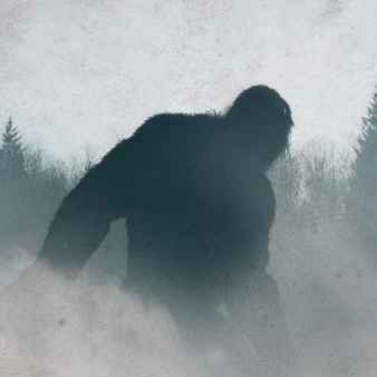 cover art for 20 SCARY APPALACHIA DEEP WOODS HORROR STORIES