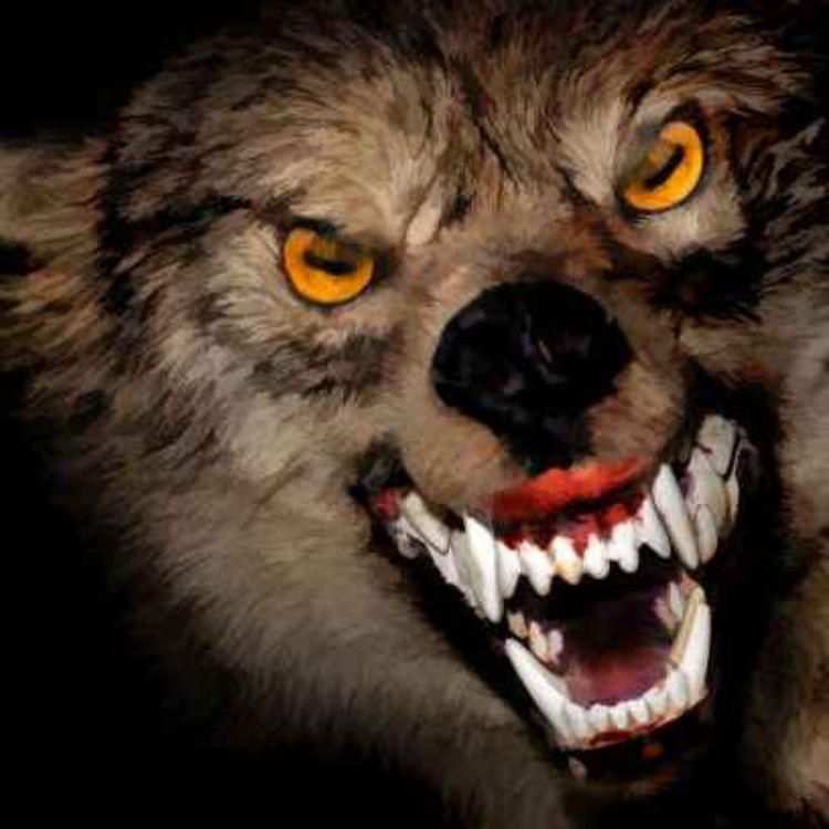 cover art for 19 SCARY PARK RANGER HORROR STORIES