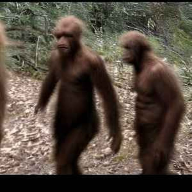 cover art for 20 TRUE SCARY TRUCKER HORROR STORIES