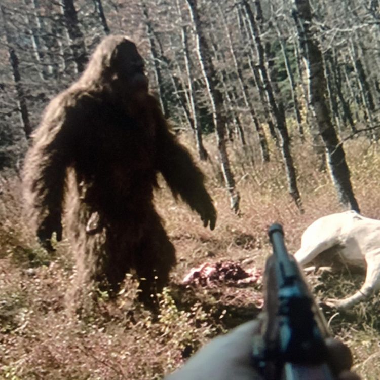 cover art for 5 TRUE SCARY PARK RANGER HORROR STORIES