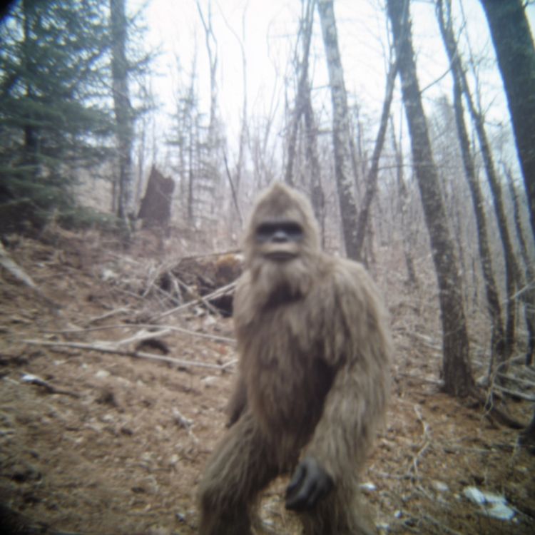 cover art for 7 TRUE SCARY MONSTER HUNTER HORROR STORIES